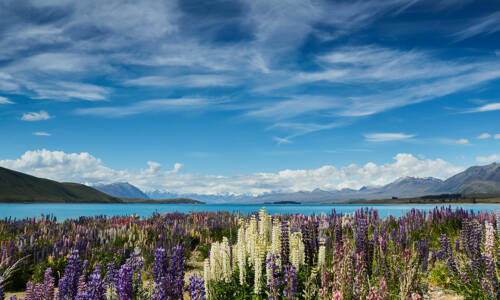 Matuka Luxury Lodge | Luxury Accommodation in Lake Pukaki / Twizel